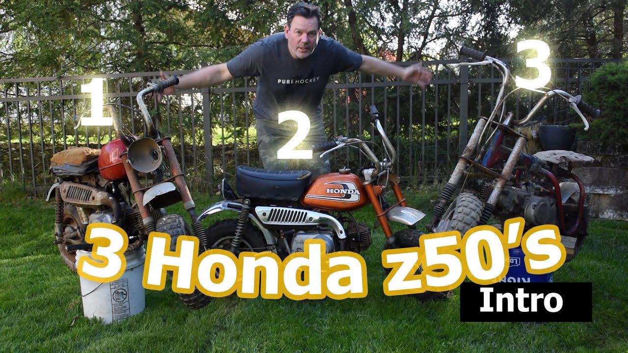 3 Honda z50's  - What to do with them?