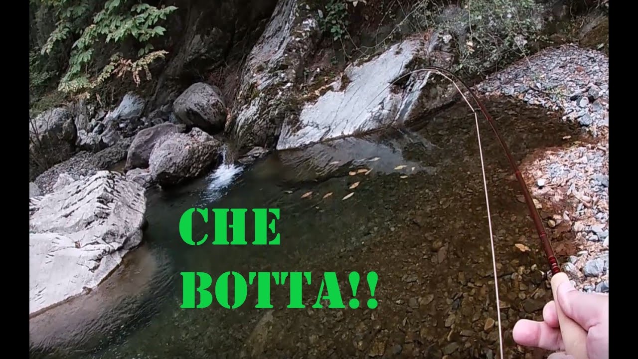 PESCHIAMO TANTE FARIO SELVATICHE!! PESCA a MOSCA in TORRENTE di MONTAGNA-Una più bella dell'altra!!