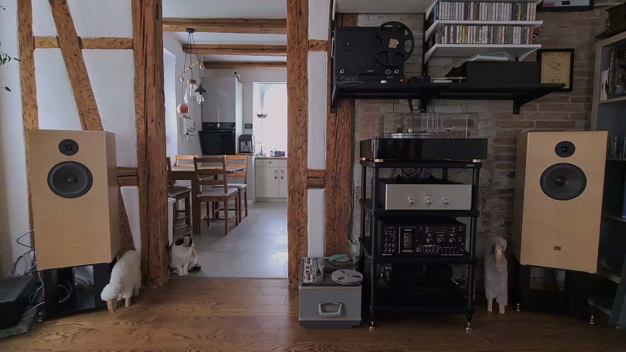 Audio Note M3/Paladin SS/AN-E LX/Revox G36