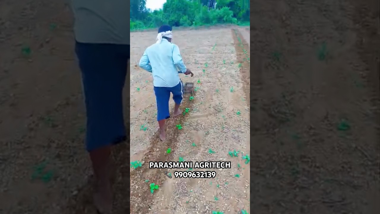 FARMER USE OUR ROLLER WEEDER MADE BY PARASMANI AGRITECH , GUJARAT 📞 9909632139#trendingshorts
