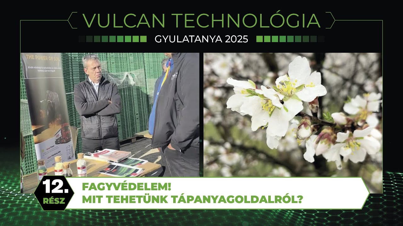 FAGYVÉDELEM? Mit tehetünk tápanyag oldalról?