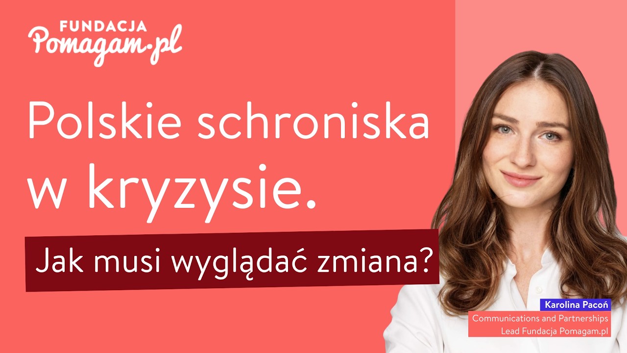 Koniec cierpieniu w schroniskach! 6 zmian, które MUSZĄ wejść w życie