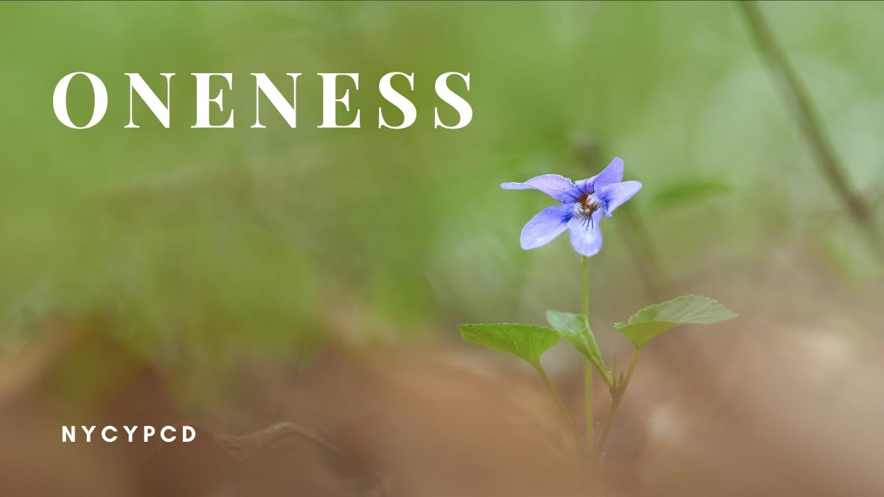 Oneness