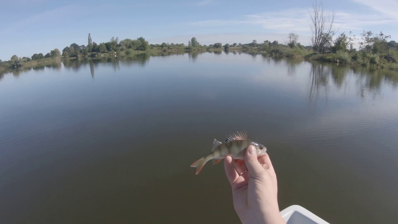 Łódka abc,slipowanie ,okonie na Keitech