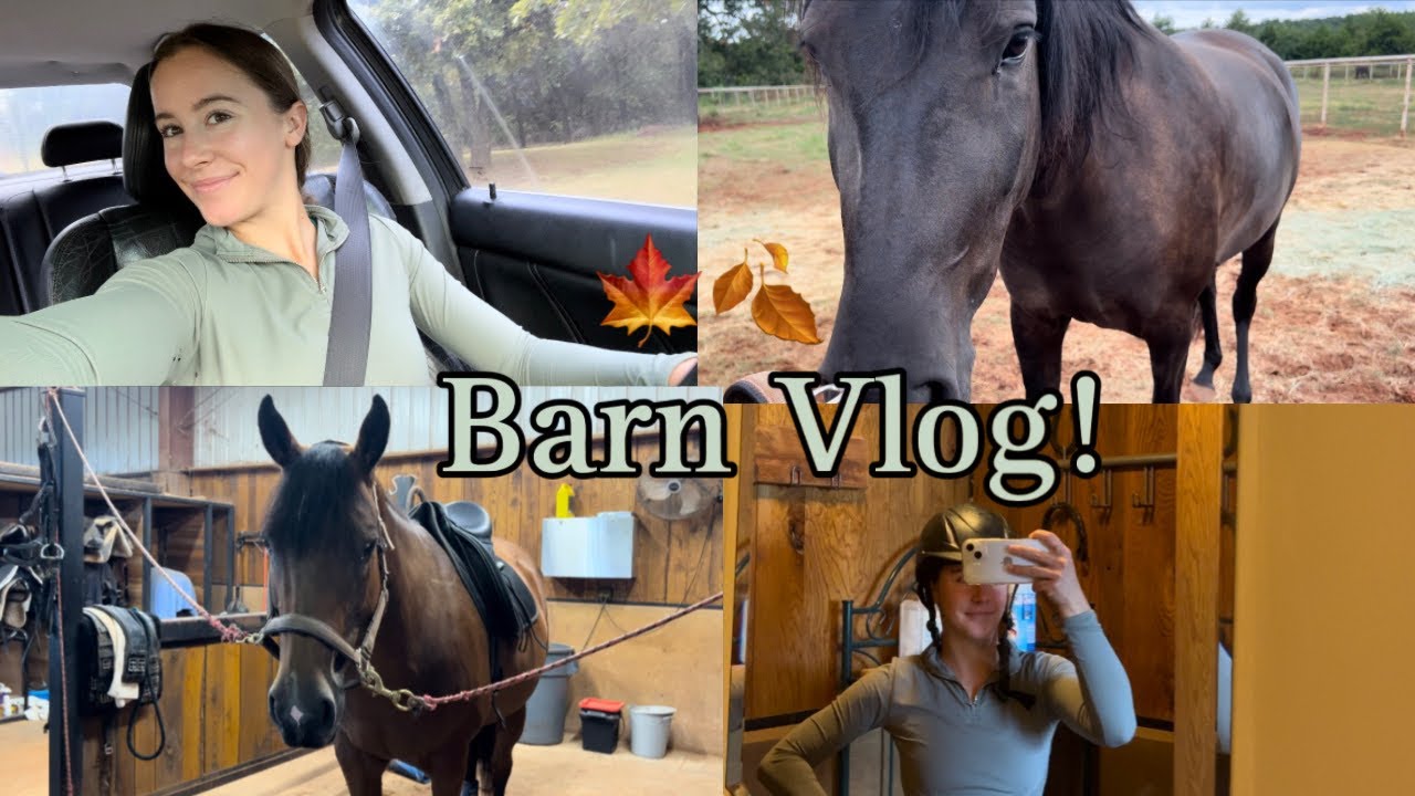 FALL BARN VLOG! | Come with me to the barn | DibbleCraft |