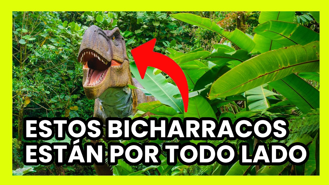 Este Parque Jur&aacute;sico en Costa Rica Te Dejar&aacute; Sin Palabras!