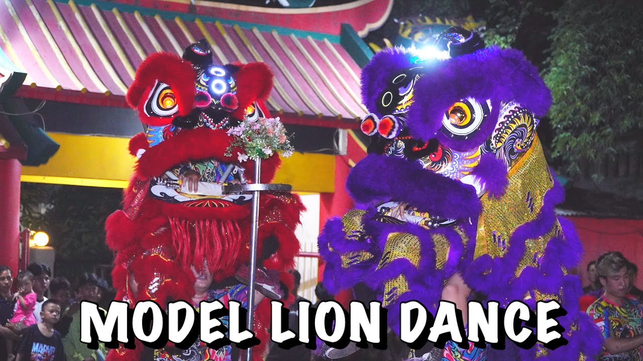PENAMPILAN BARONGSAI MODEL LION DANCE | SEJIET KELENTENG TJO SU BIO KE 77 TAHUN ‼️