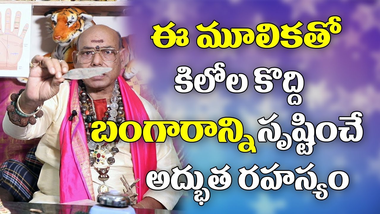 ఈ మూలికతో కిలోల కొద్దీ బంగారం తయారవుతుంది | How To Create Gold | Gold Secret | Parishkara Margam
