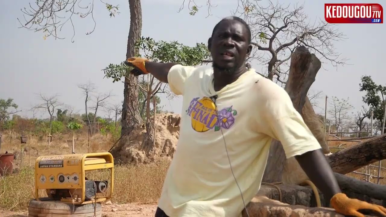 EMISSION SENEKELA. LA FERME BINTOUYA, UN MODELE POUR POUSSER LES JEUNES A S'INVESTIR DANS L'AGRICUL