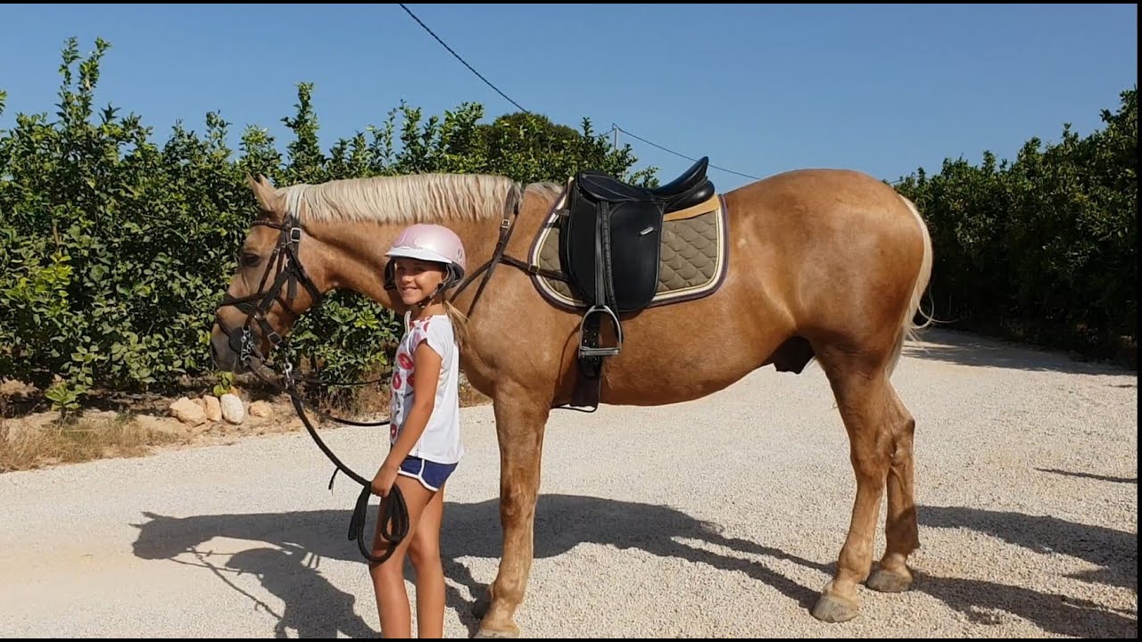 Blog: Montando a caballo por primera vez 🐎