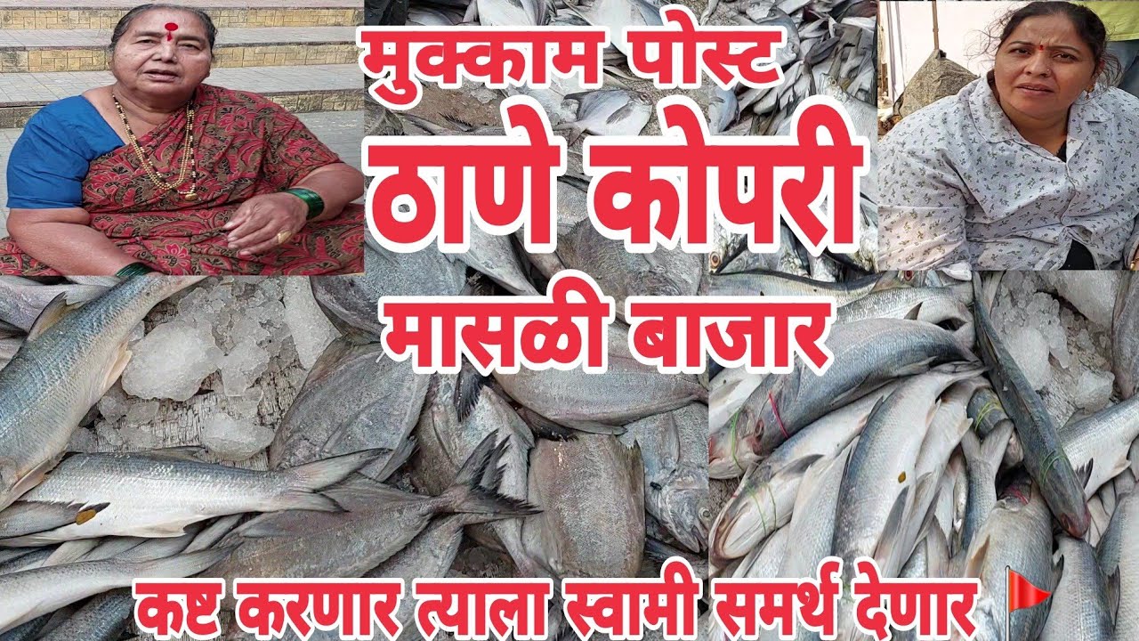THANE FISH MARKET🚩मुक्काम पोस्ट ठाणे कोपरी मासळी बाजार|रावस🐟सुरमई 🐬हलवा ताजा🐠खुशीत घेतो ग्राहक राजा🥰