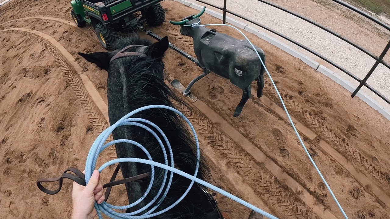NEW Ropes & Roping the Smarty Sled