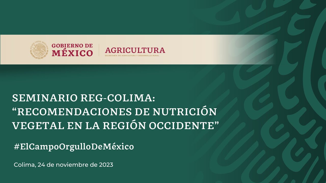 Seminario Reg-Colima: 