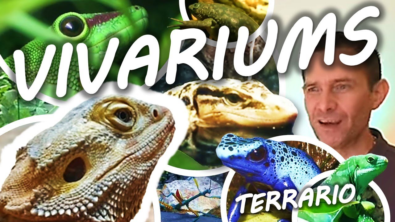 REMARQUABLES TERRARIUMS GÉANTS du Zoo de Thoiry