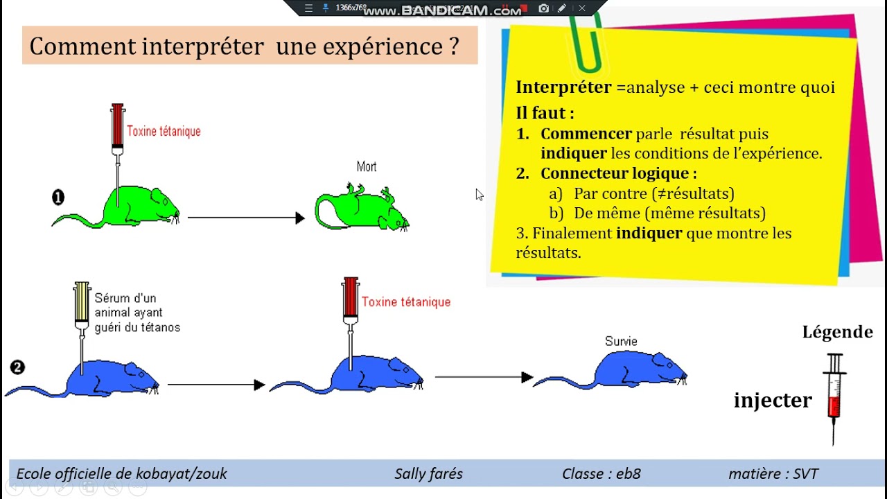 comment interpréter une expérience
