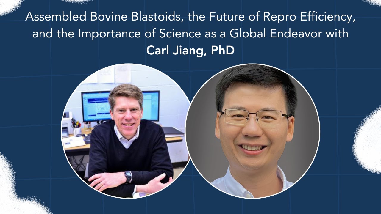 Dairy Digressions S2, E15 | Bovine Blastoids, Repro Efficiency, & Global Science w/ Carl Jiang, PhD