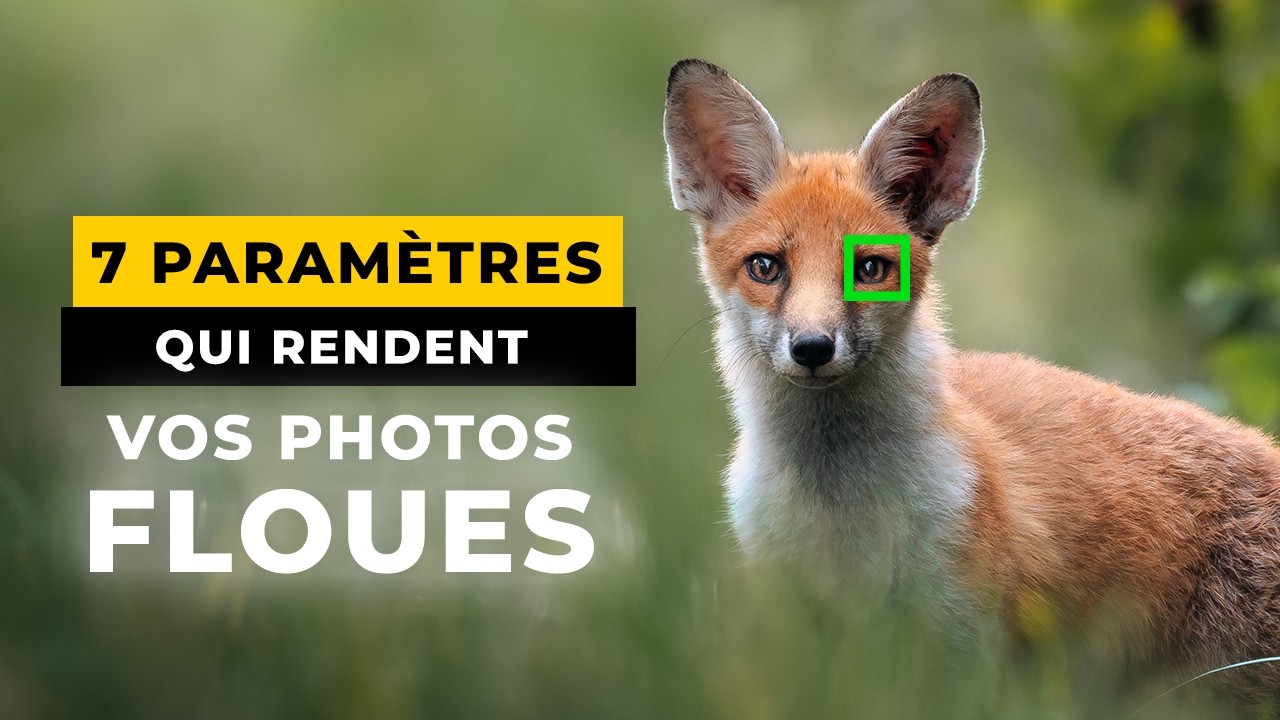Pourquoi vos photos sont floues (et comment y remédier)
