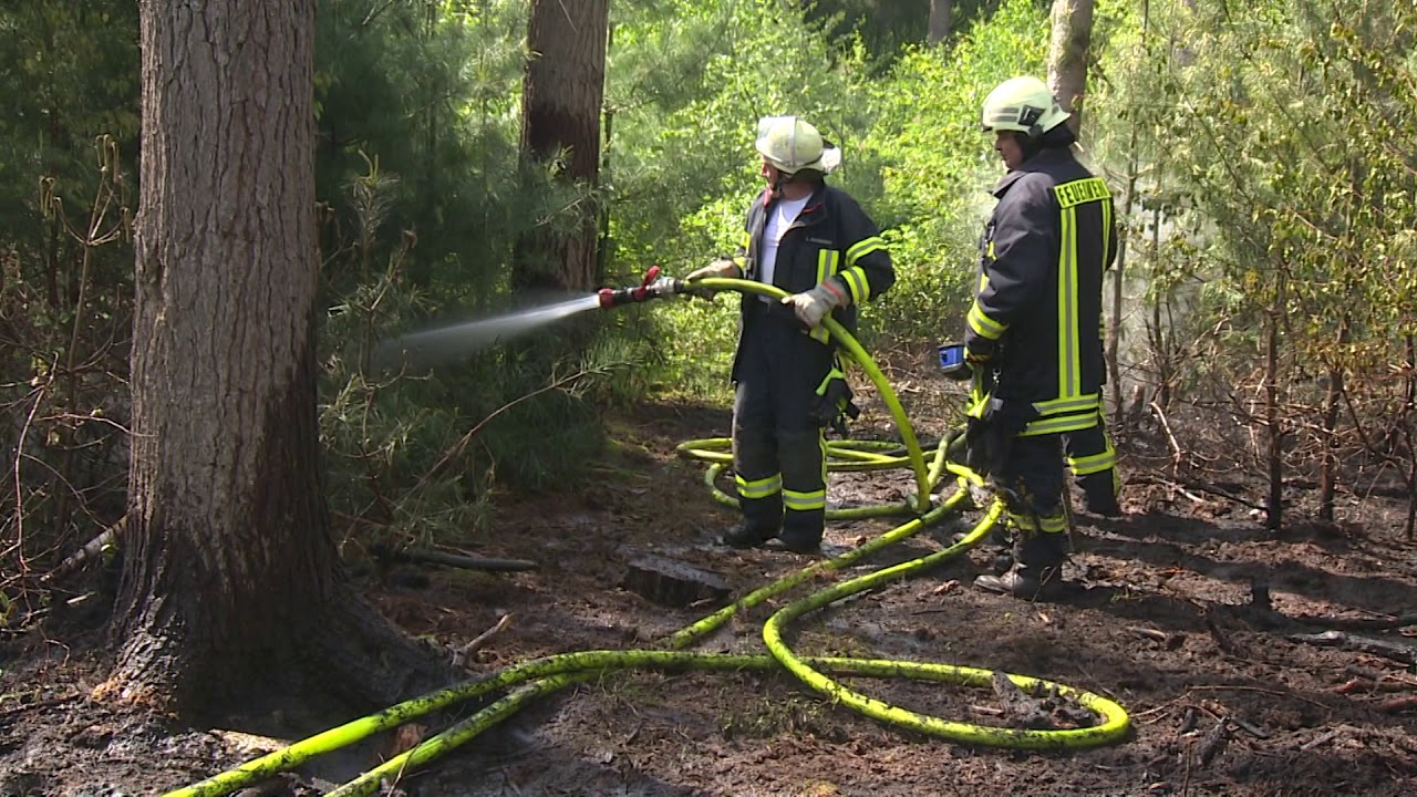 Waldbrand Kerken auf 500 qm