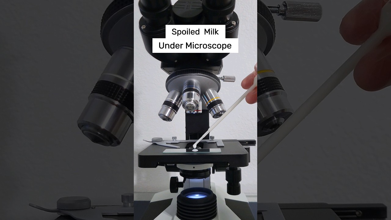 Milk Under the Microscope