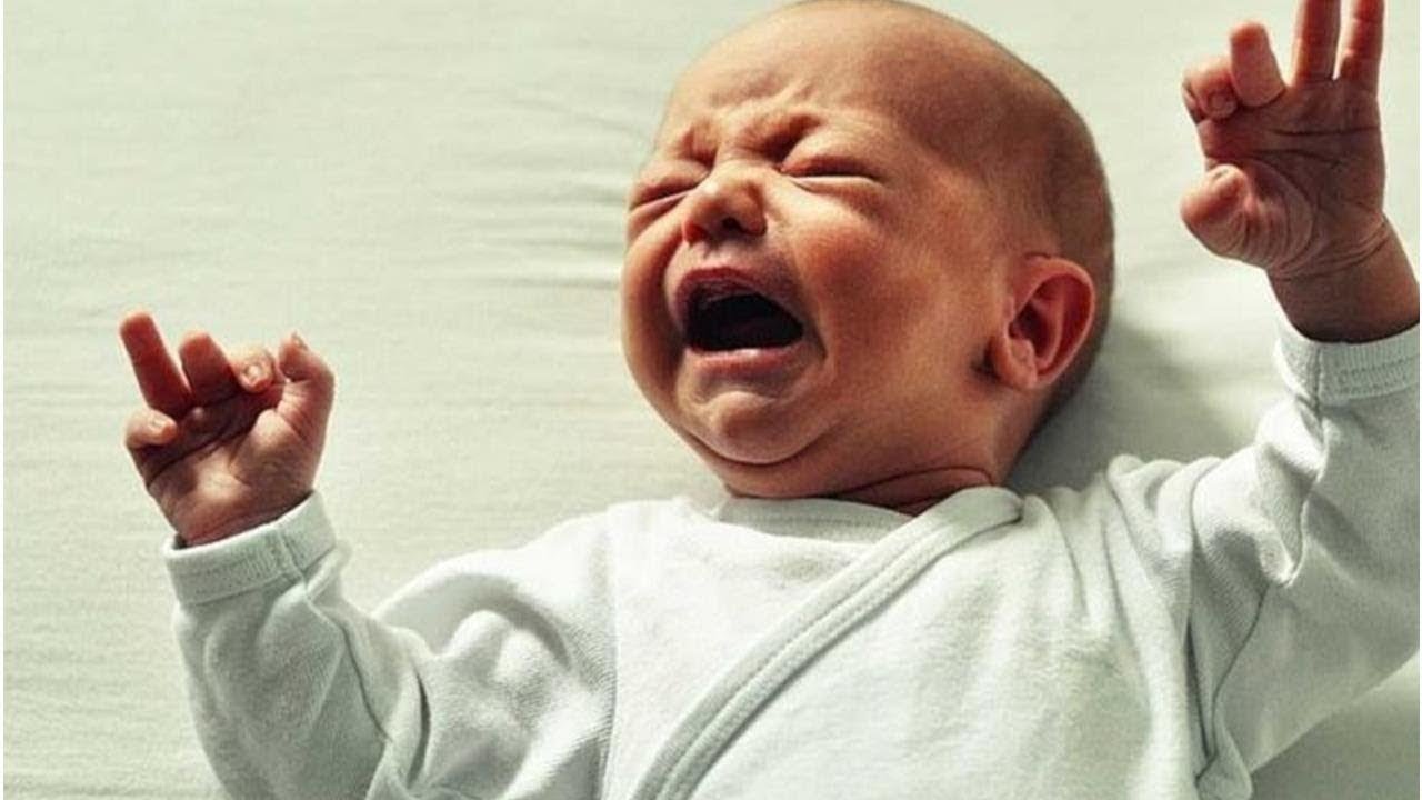 The Cutest Babies Compilation - Cute Baby Videos