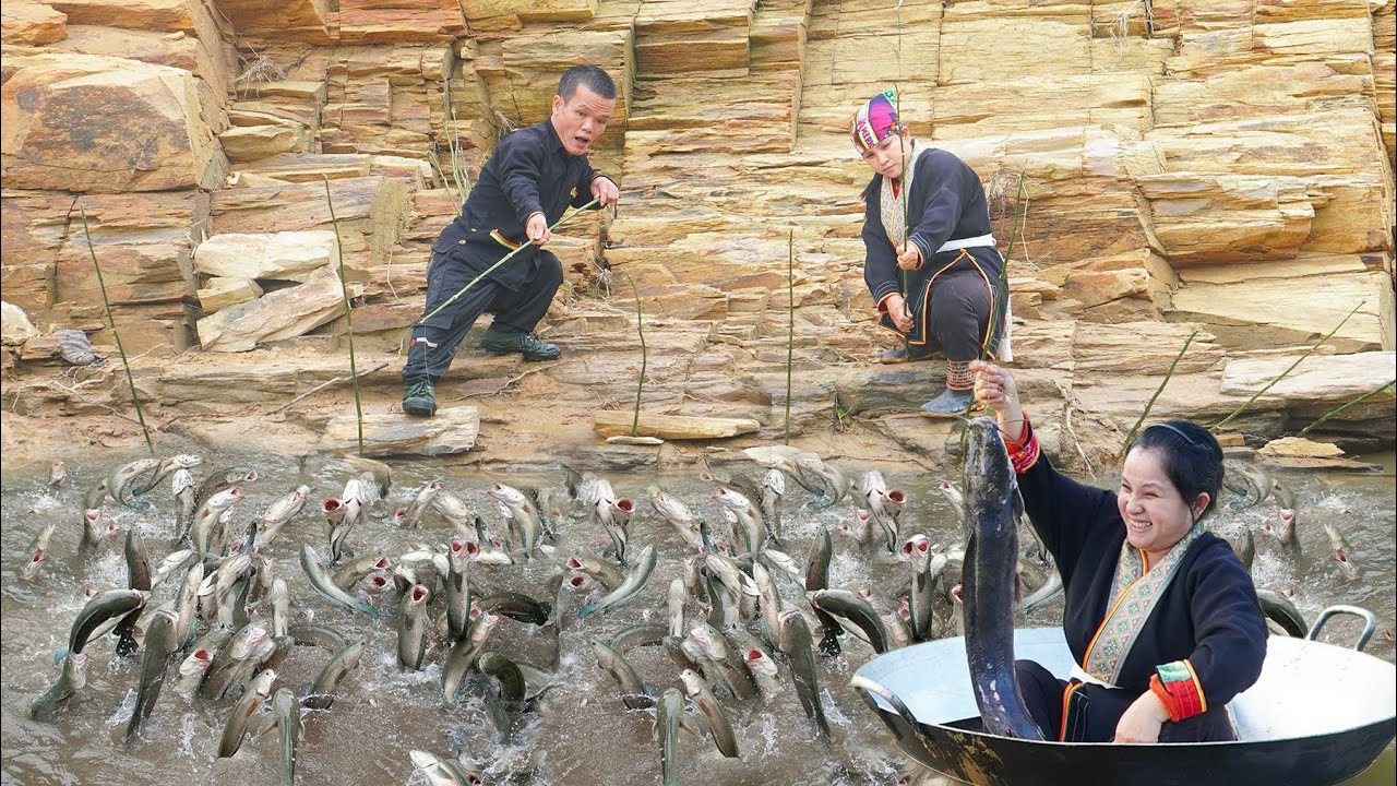 Full Video: Unexpected Encounter With Newborn Jackals and the Dwarf Family Fishing Journey