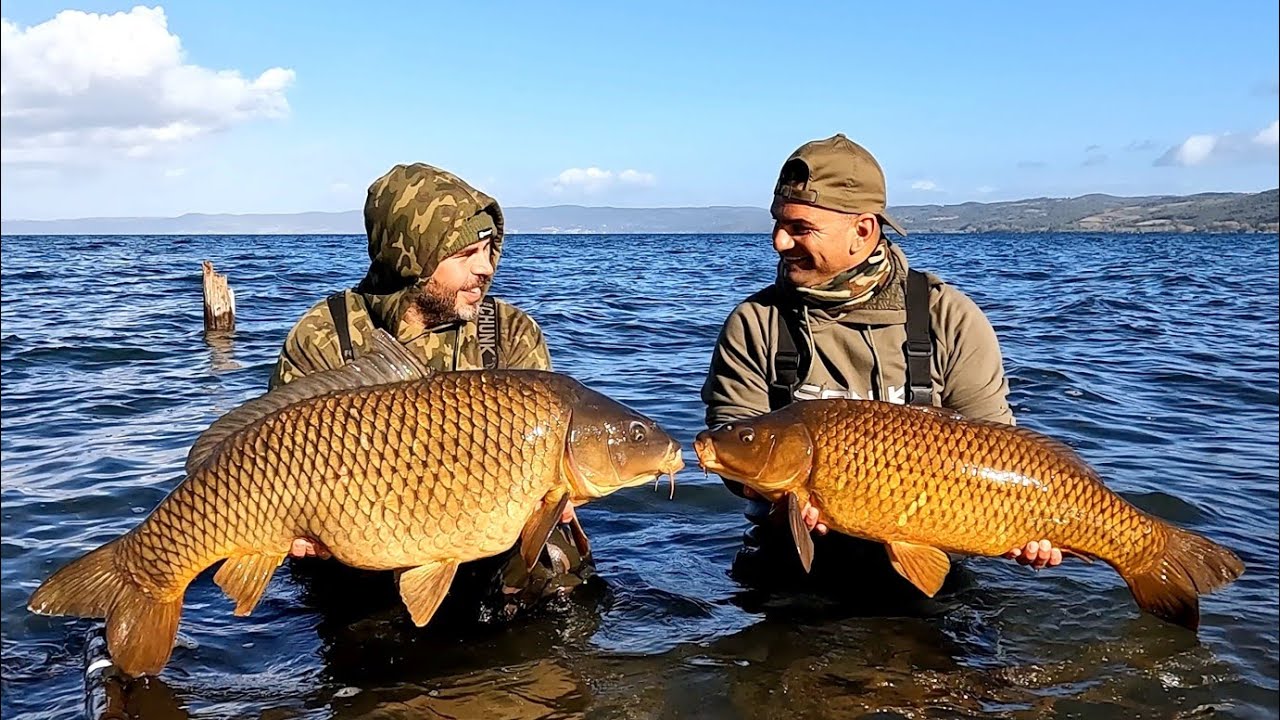 Carpfishing Lago di Bolsena  Novembre 2023