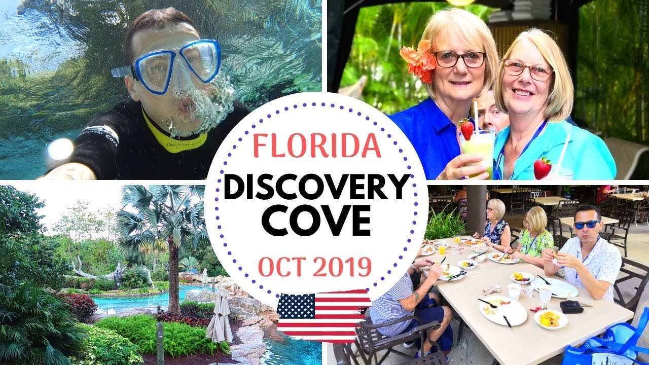 DISCOVERY COVE OCTOBER 2019 | FLORIDA DISNEY WORLD VLOGS