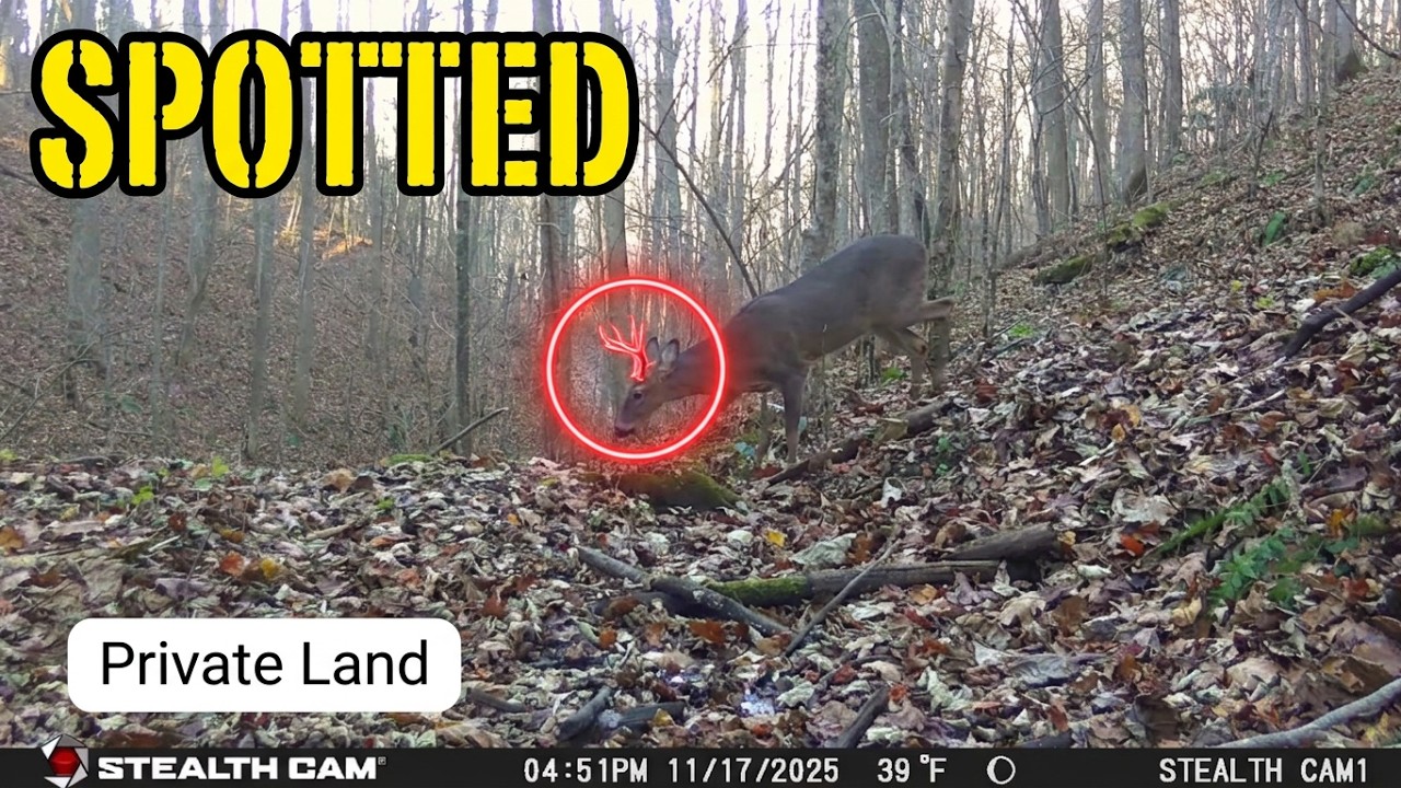 North Carolina Privite Land / Trail Camera Footage