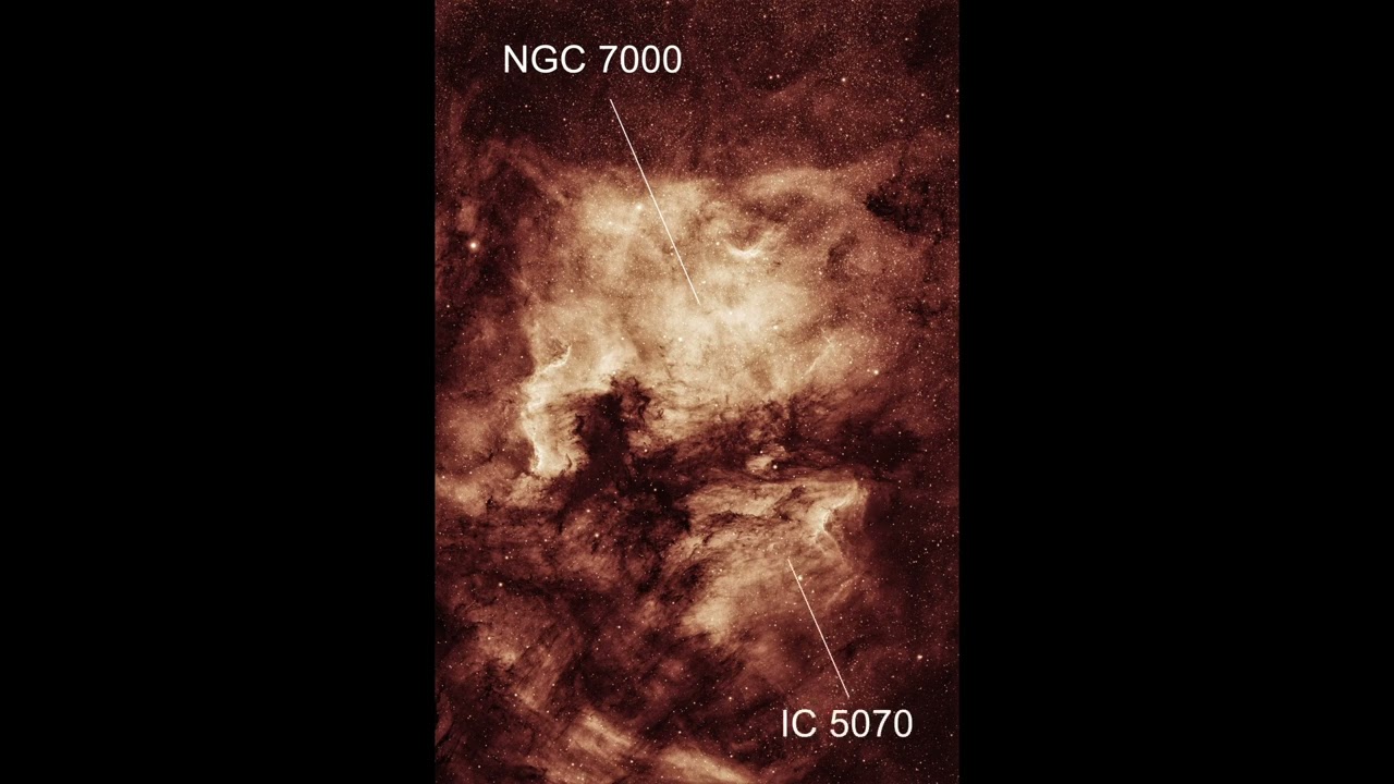 NGC 7000 with Askar FRA 300