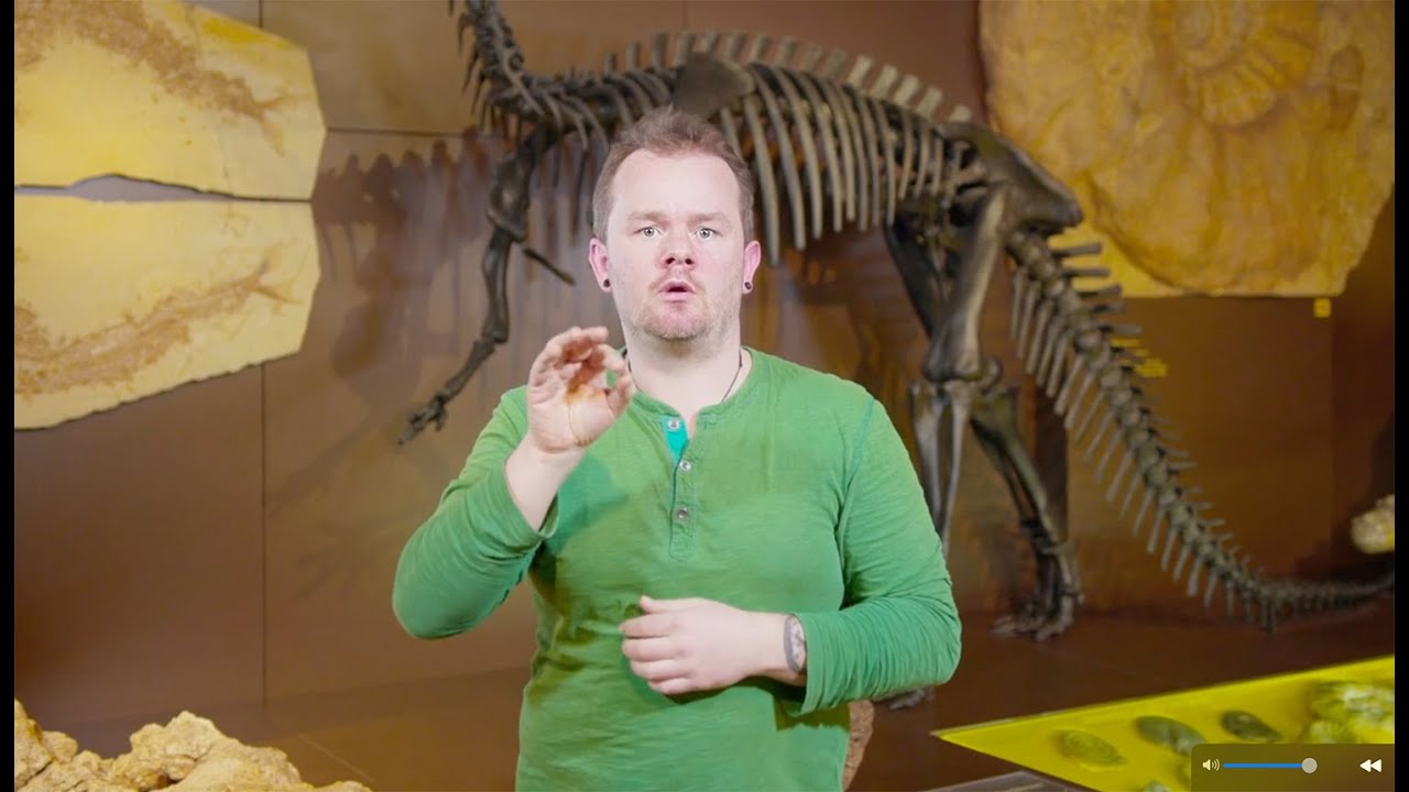 Museum Mensch und Natur in Gebärdensprache erklärt