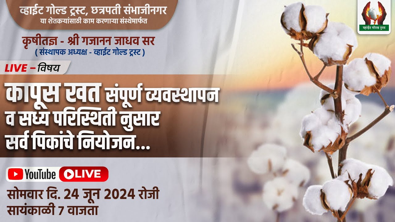 कापूस खत संपूर्ण व्यवस्थापन व सध्या परिस्थिती नुसार सर्व पिकाचे नियोजन