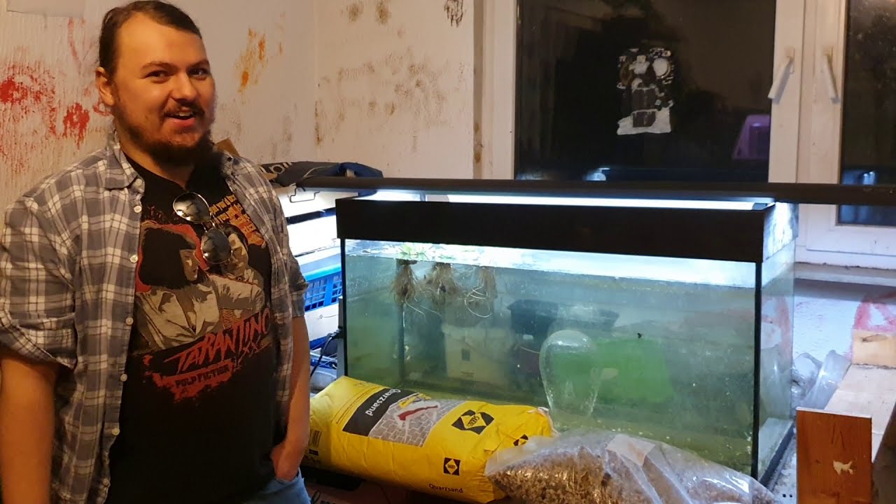 Bodengrund in Aquarium einfüllen - Was ist das geeignete Material, Sand oder Kies? Quarzsand