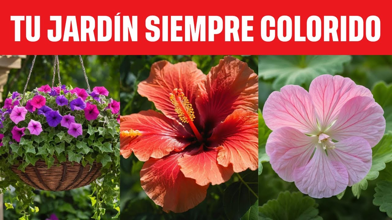 10 PLANTAS QUE FLORECEN TODO EL AÑO