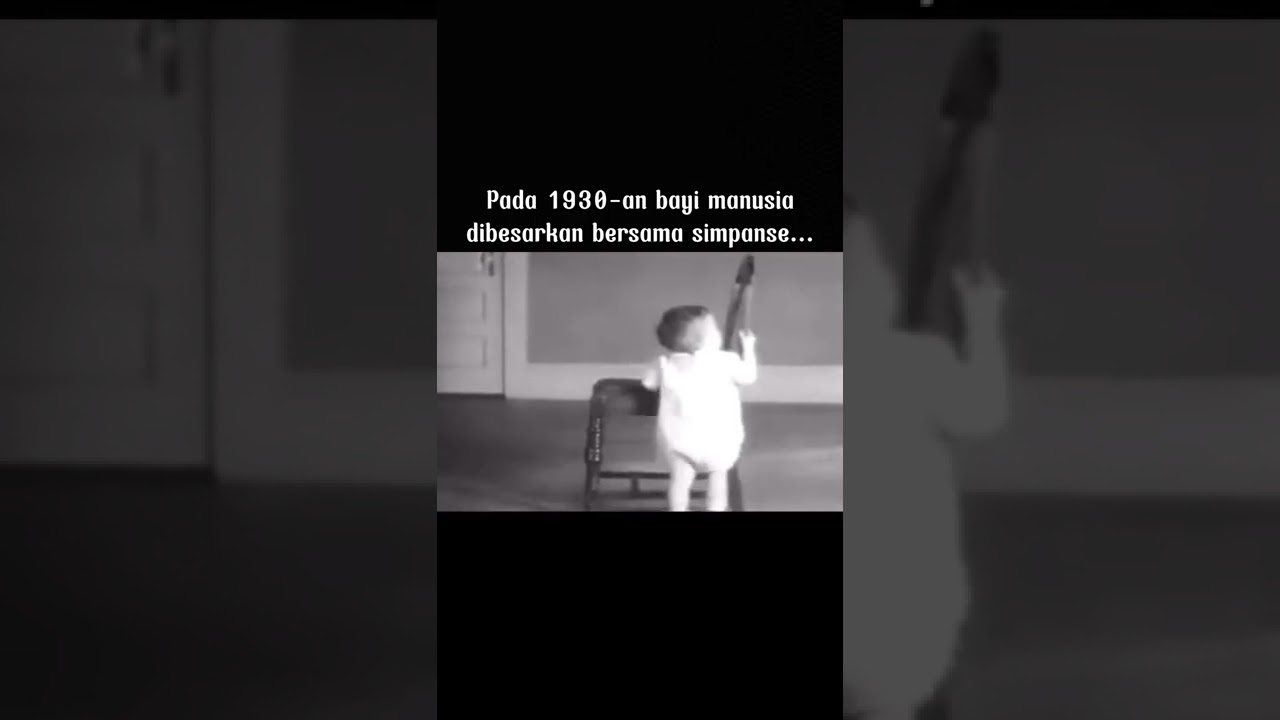 EKSPERIMEN PALING MENGERIKAN 😱⁉️ #shorts