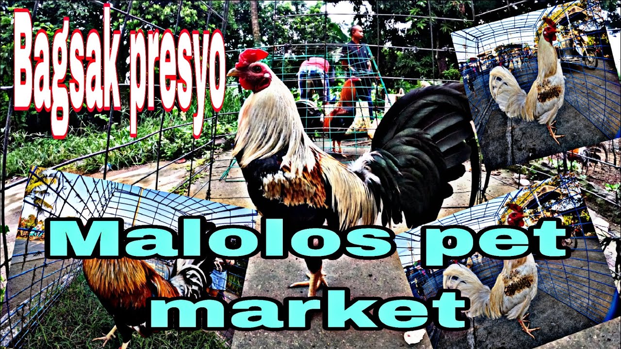 Bagsak presyo ,Malolos pet market .