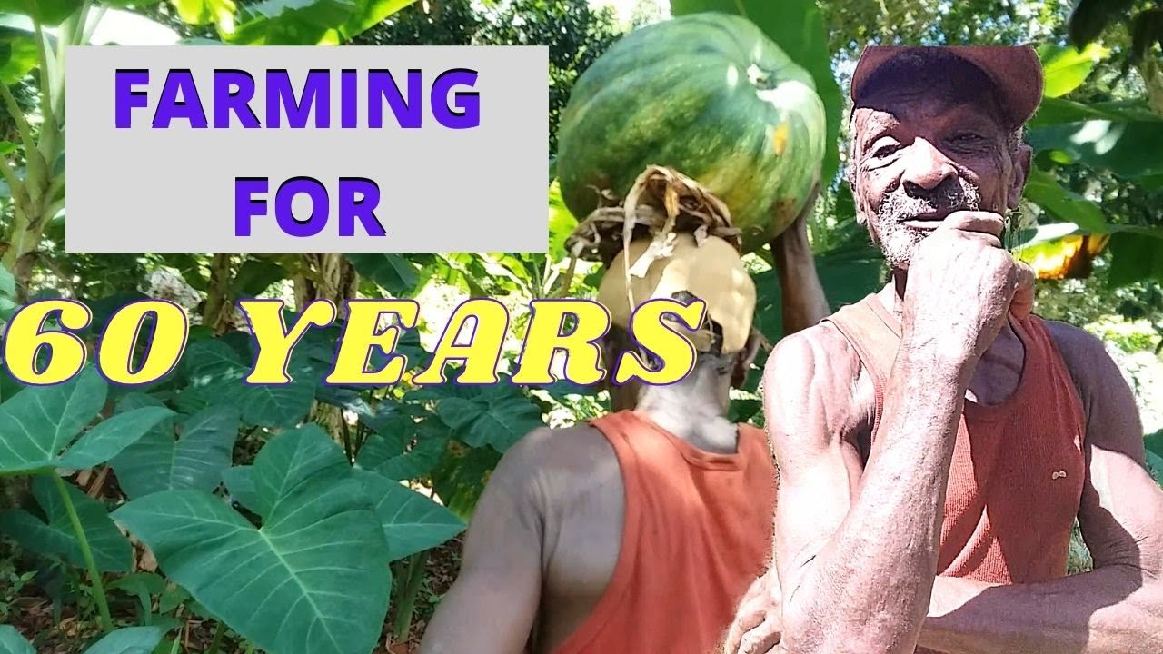 FARMING FOR 60 YEARS | JAMAICAN FARMER | WALKING TO BUSH | BETHSALEM | ST. ELIZABETH | JAMAICA VLOG