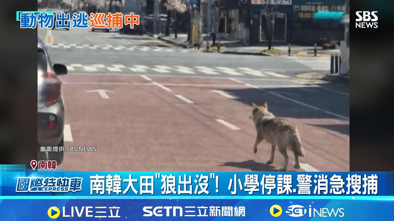 南韓大田