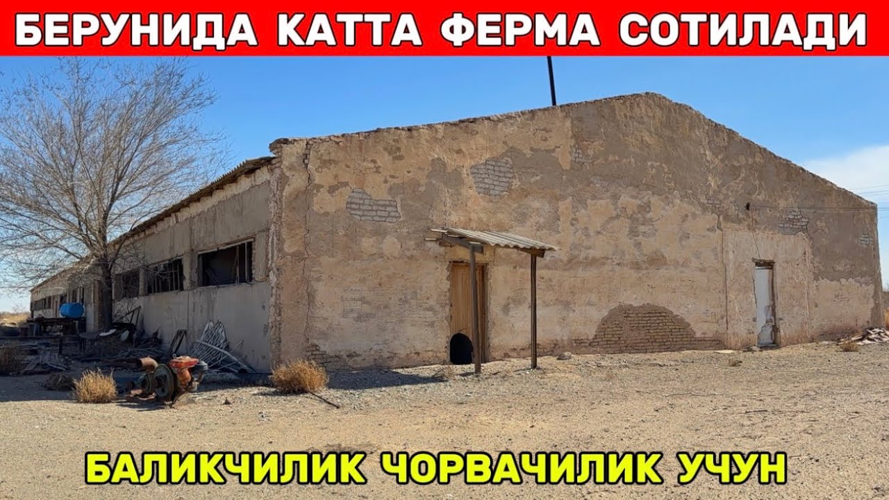 БЕРУНИДА ЧОРВАЧИЛИК БАЛИКЧИЛИККА МЎЛЖАЛЛАНГАН КАТТА ФЕРМА СОТИЛАДИ !!! 