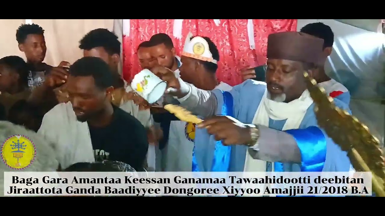 3 February 2026
