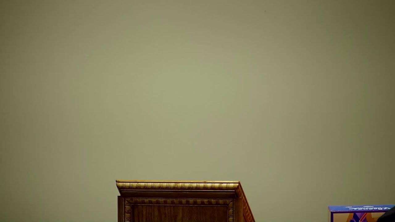 Masjid Al-Muslimeen Live Stream