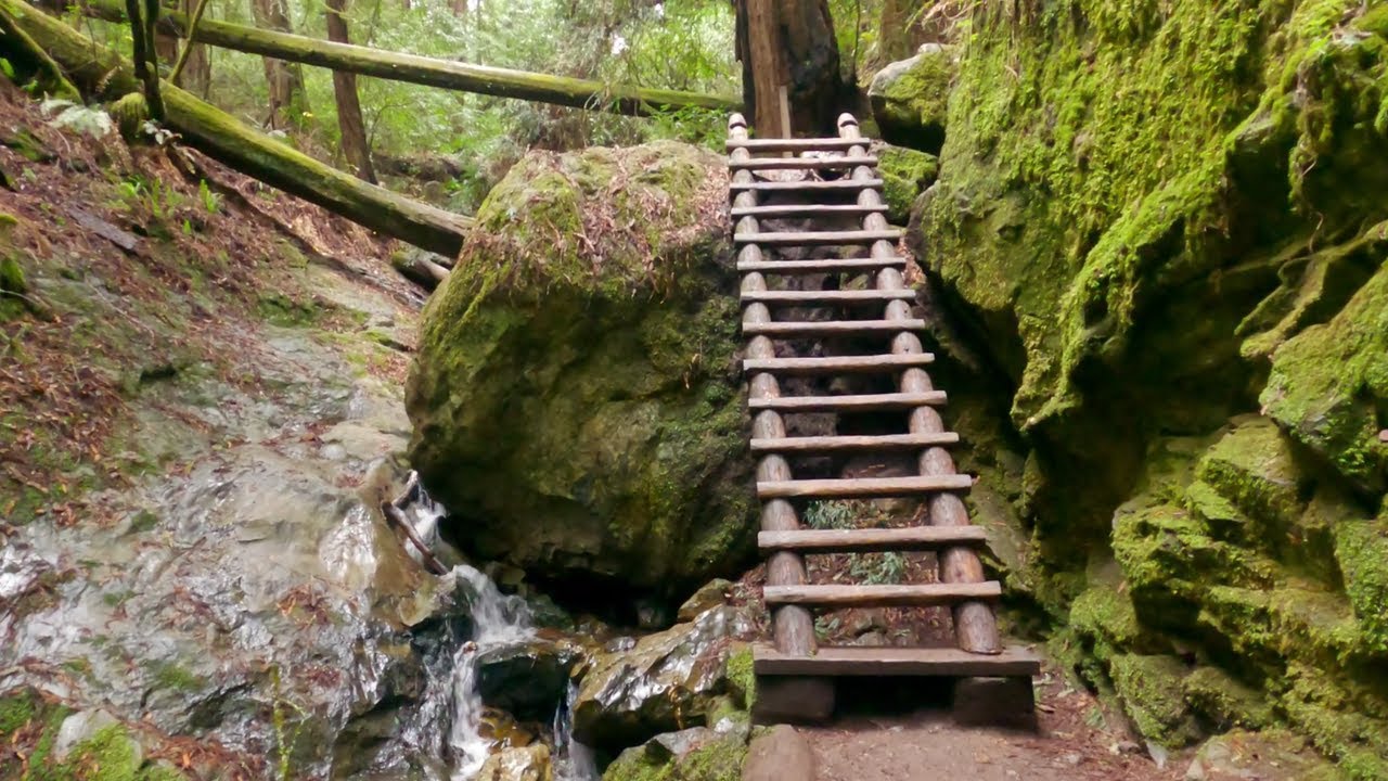 Dipsea Trail | Steep Ravine | Muir Woods // Trail Run