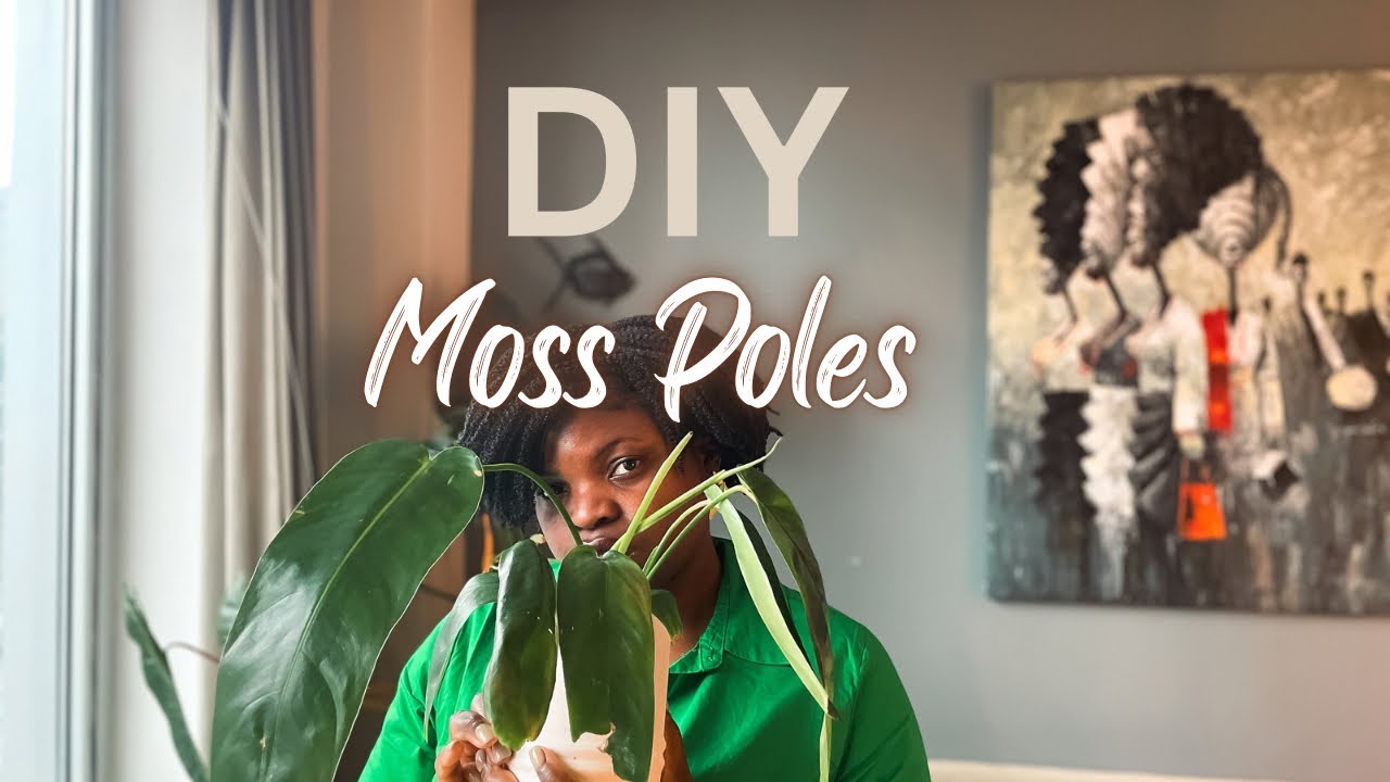 Everything you need to make your own moss pole - plant moss pole tutorial 🌿🌱🪴