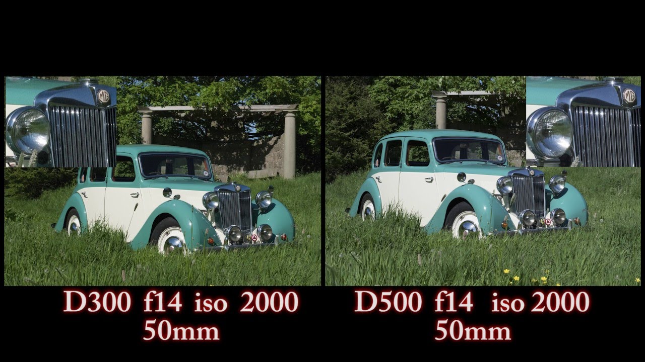 Nikon D300 vs Nikon D500 photo comparison