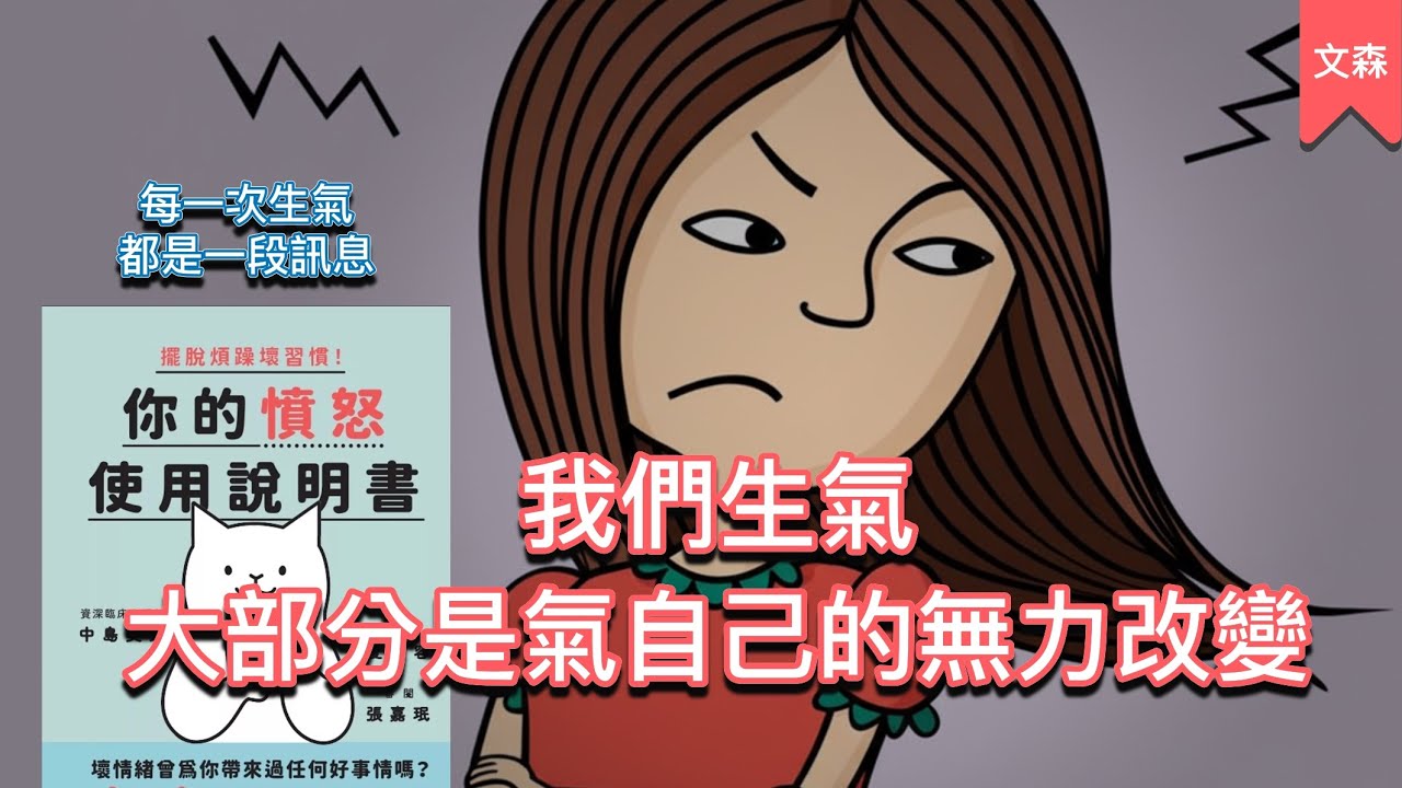 讓情緒更有價值｜《擺脫煩躁壞習慣！你的憤怒使用說明書》｜文森說書