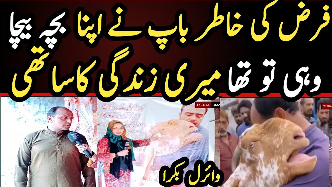 Unique Story of Viral Hone Wala Bakra | Media 2day