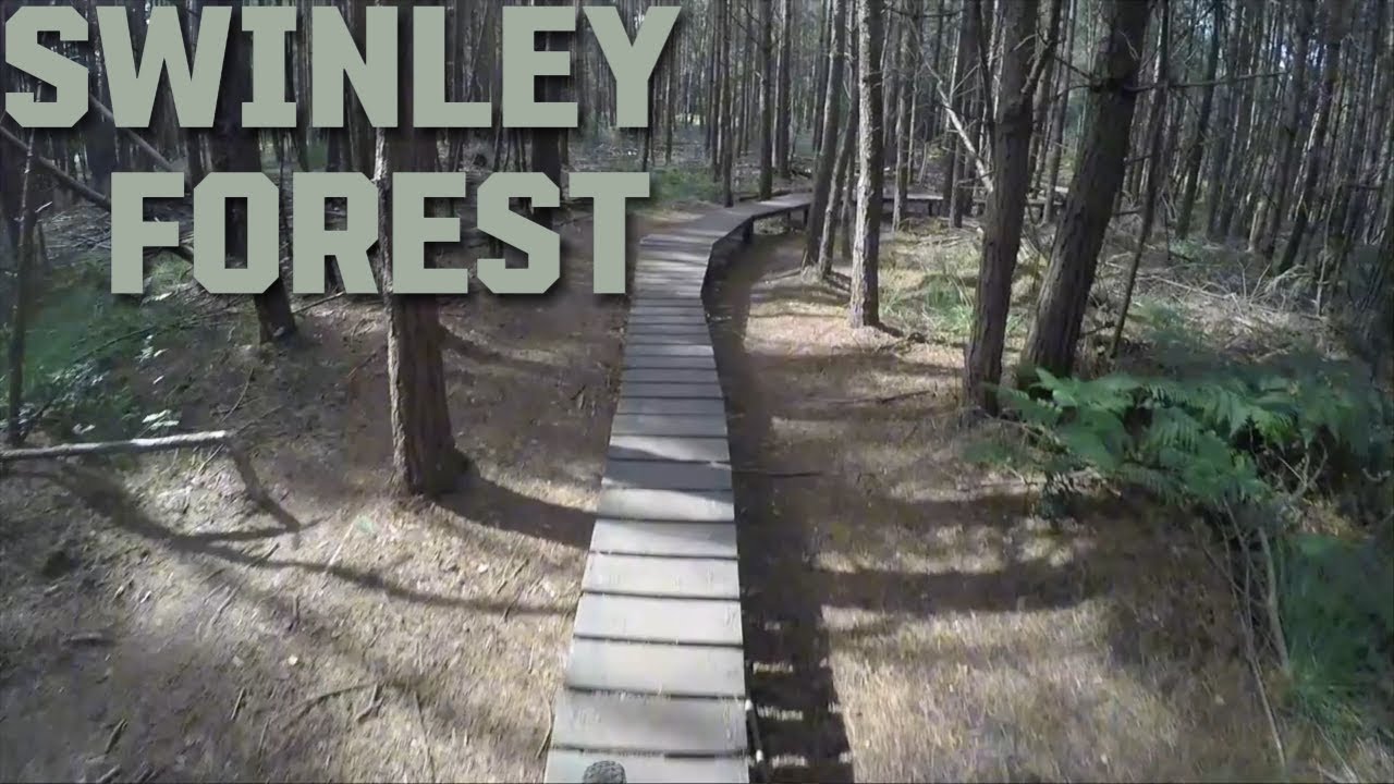 Swinley Forest MTB dull Reds Trail  2026