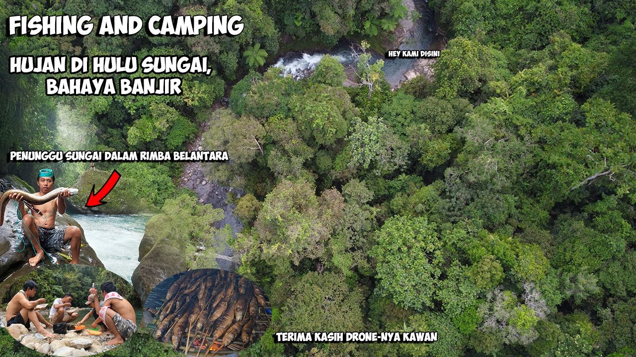 Menjelajah Hutan Rimba Mencari Ikan Bermalam Di Pinggir Sungai Dalam Hutan Rimba Camping and Fishing