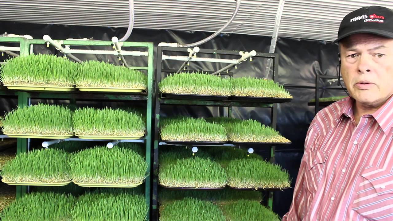 EZ Grow Fodder System - Racks and Irrigation