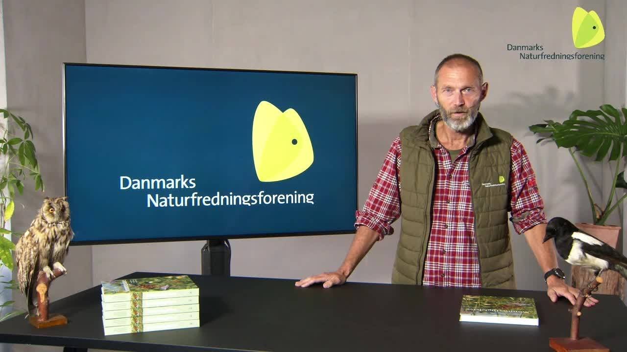 Kursus: Sommerfugle og bier i haven