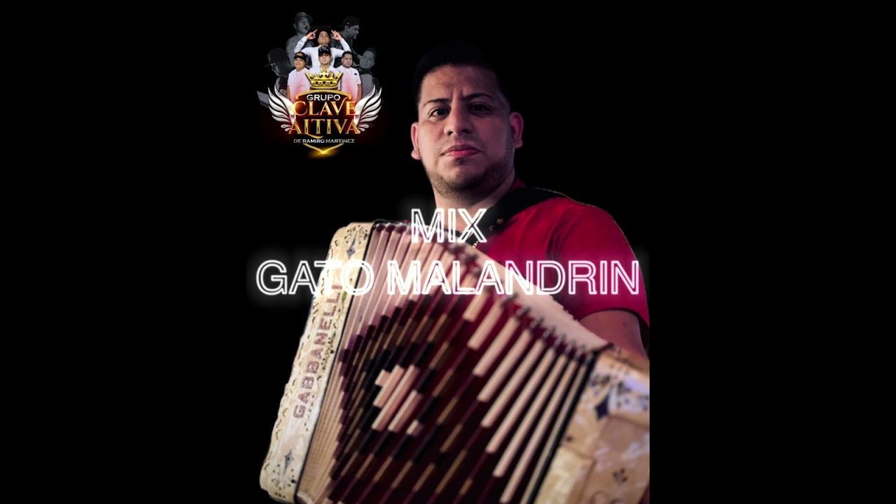 MIX GATO MALANDRÍN - GRUPO CLAVE ALTIVA (en vivo) 